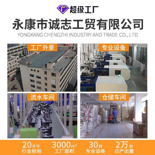 户外家用电动充气泵小型快速抽充两用110v-240v便携式电动泵