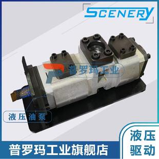 SCENERY双联内啮合齿轮泵 S2NCB系列 液压系统 伺服齿轮油泵 驱动