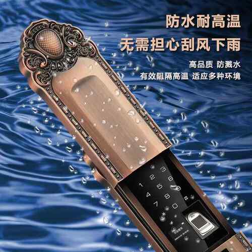 端豪华指纹高欧锁式大铜门密码锁别墅子双开电锁入户门K666-单防