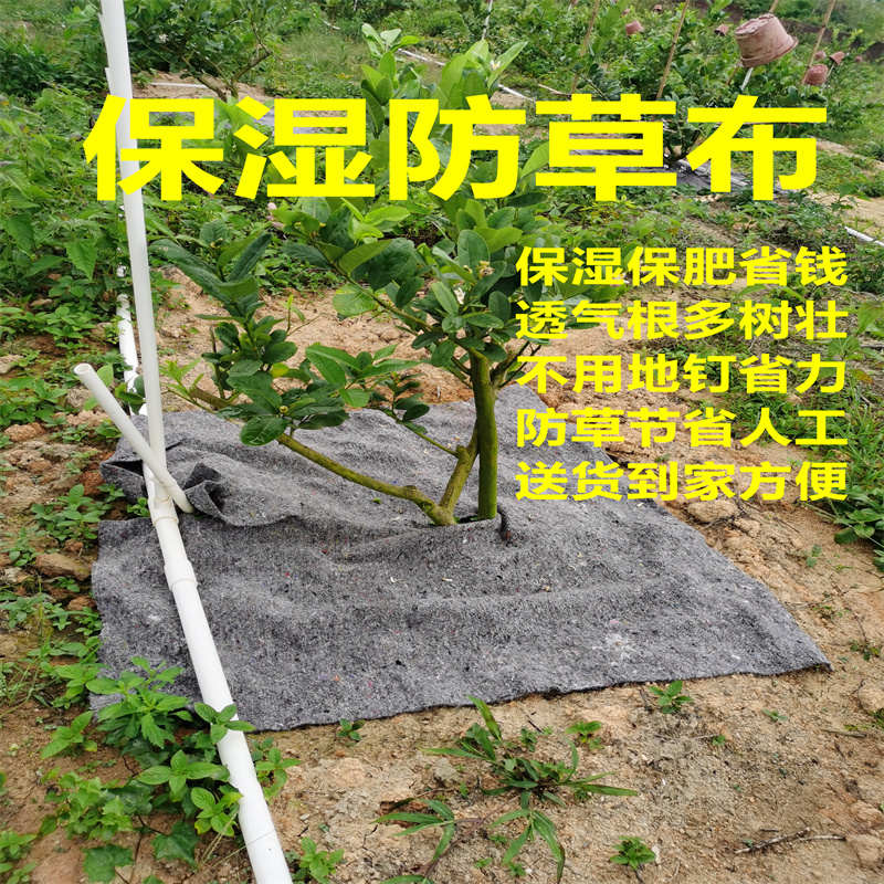 棋楠柠檬防晒隔热除草布布保温保湿防草布农用遮盖地布地膜防晒布