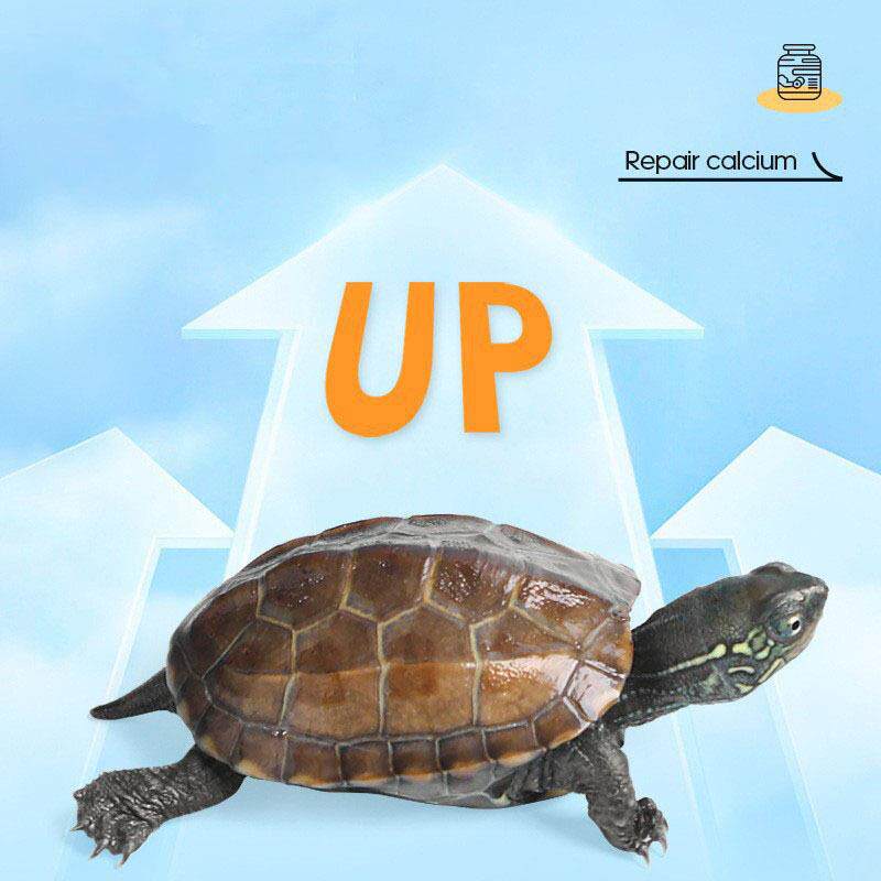 钙墨鱼骨粉小乌龟饲料添加通用龟龟粮幼龟巴西龟草龟黄缘龟