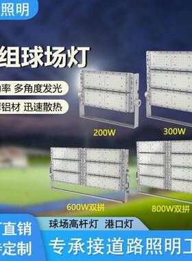 户外杆灯200w模组球场灯大功率800w1000W投光灯亮球场灯