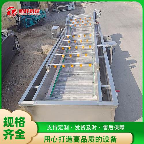 厂家供应西红柿辣椒清洗机 气泡蔬菜清洗机 果蔬清洗机械加工设备