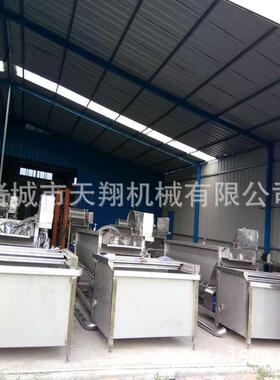 全自动气泡洗菜机蔬菜清洗机涡流式洗菜机诸城市天翔机械