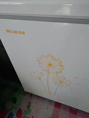 分享使用感受美菱冰柜怎么样，新手吐槽评测不容小看