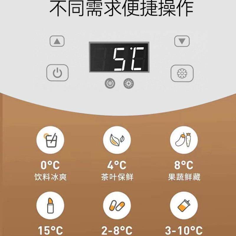 迷你小冰箱一人小型宿舍家用冷藏车载冰箱学生出租屋新款