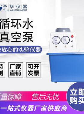 SHZ-DIII防腐双表双抽循环水真空泵台式抽滤泵