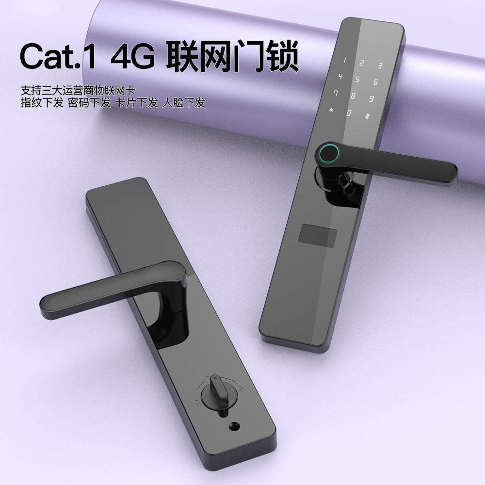2024新品Cat.1智能物联网门锁公寓密码锁公租房4G联网锁支持二开