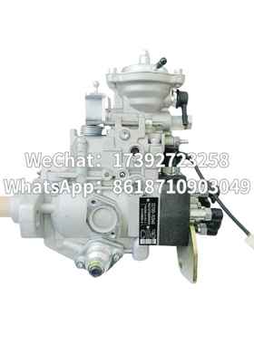 高品质喷油泵总成 22100-1C040 VE6/12F2000RND519 196000-5192
