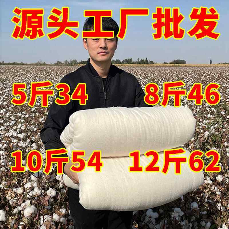 被褥子棉胎冬加厚保暖被芯棉花棉絮子垫被内胆学生VOZ春天秋棉被