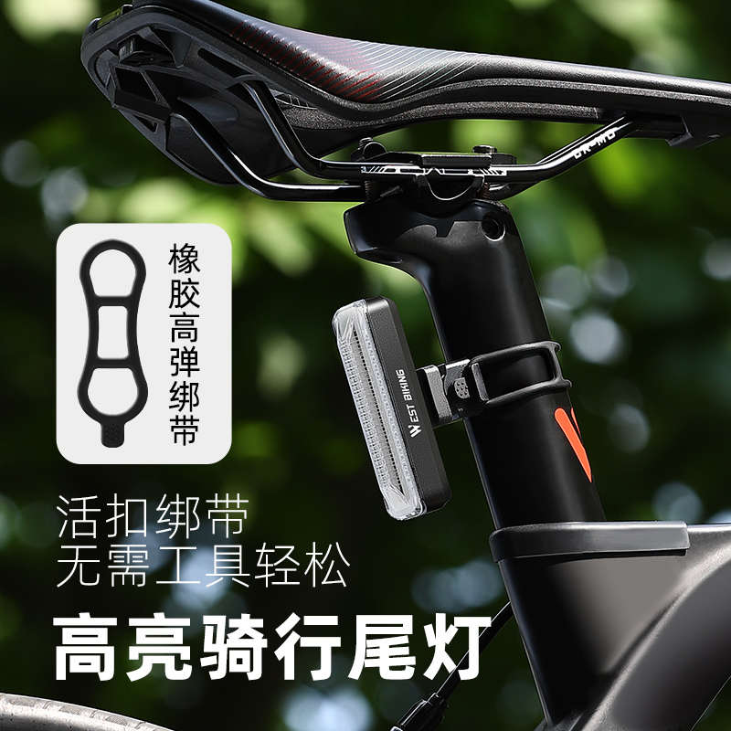 西骑者自行车尾灯夜骑充电车灯公路山地车安全警示灯单车骑行配件