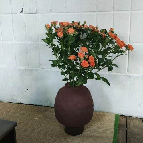 精品加插厚花瓶家居龙吊JCF龟背竹马醉柳木鲜花钟花摆件