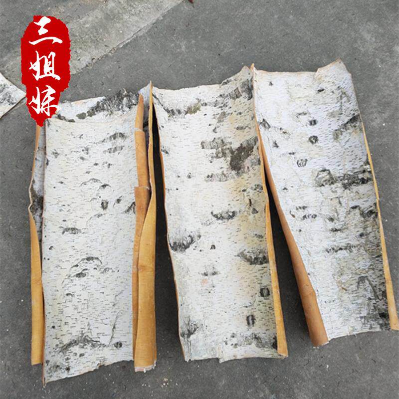 天然白桦树皮·桦树皮家居装饰DIY花材材料干桦树皮拍摄道具
