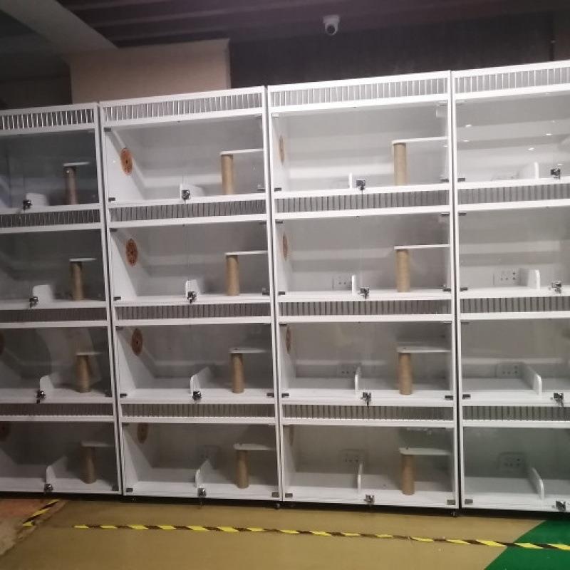 猫展示柜猫别墅实木大型大空间玻璃门猫笼子柜寄养繁育笼豪华猫舍