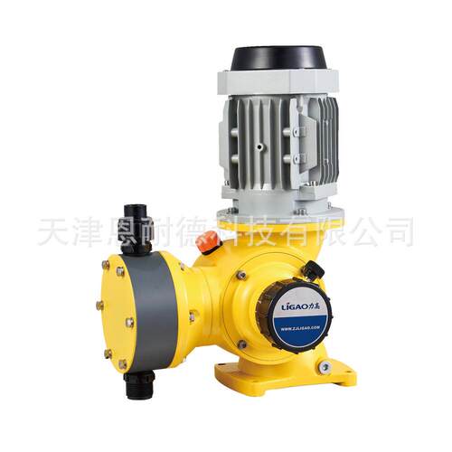 力高计量泵GM25 50 80 120 170 240 320/1.0 0.7 0.5隔膜定量泵