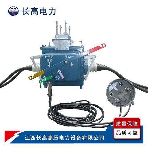 FZW28F-12/T630户外分界智能真空断路器10KV压电动负荷杆上开关