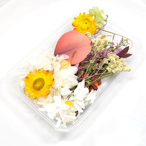 新款直销新款幼儿园干花手工DIY制作材料包天然永生花情人节礼品