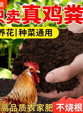 鸡粪发酵有机肥料种菜种花专用羊粪鸡屎蔬菜果树肥料营养土鸡粪肥