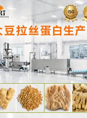 大豆拉丝蛋白生产线  素肉挤出机 Textured Soy Protein Extruder