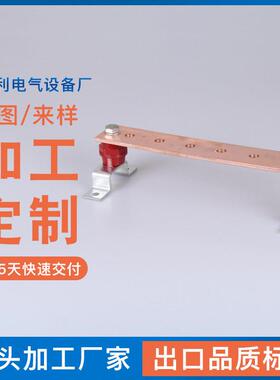紫铜条形汇流排电气接地双向汇流铜母排配电箱接线端子排