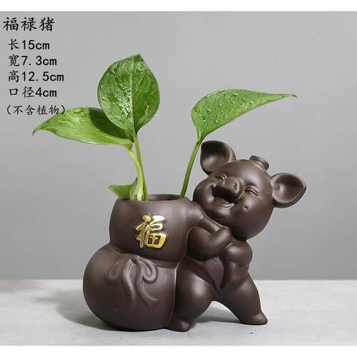 高档创意绿萝水培植器物透件明玻璃花瓶家用插客厅装饰摆水养花陶