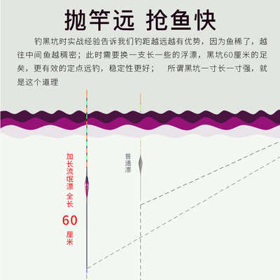 艺钓60cm超长行程漂黑坑鲤鱼浮漂芦苇夜光漂高灵敏电子漂日夜两用