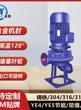 LW200-300-7-11立式无堵塞管道排污泵 WL200-300-7-11污水管道泵