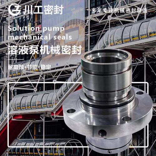 弹簧轴封 SE2-AP-80-QRVQ250HS-AH 专业用在生产食盐上机械密封