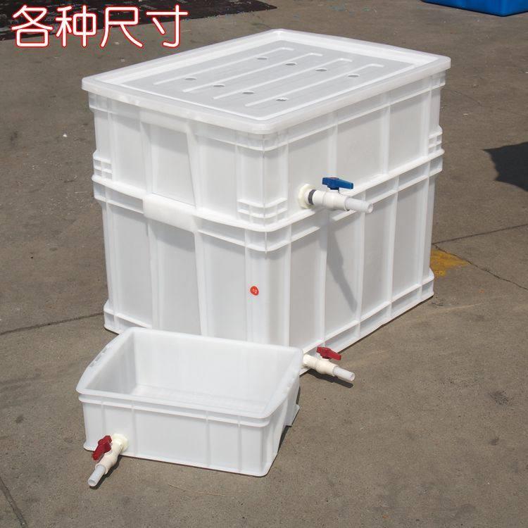 加厚养龟箱塑料养鱼水箱带排水带盖子养殖箱可换水带阀门周转箱龟图片