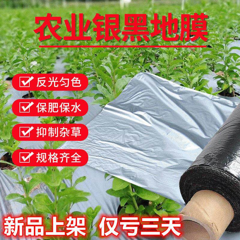 农用反光双色银黑地膜加厚防虫除草果树园保湿塑料薄膜胶纸白黑膜