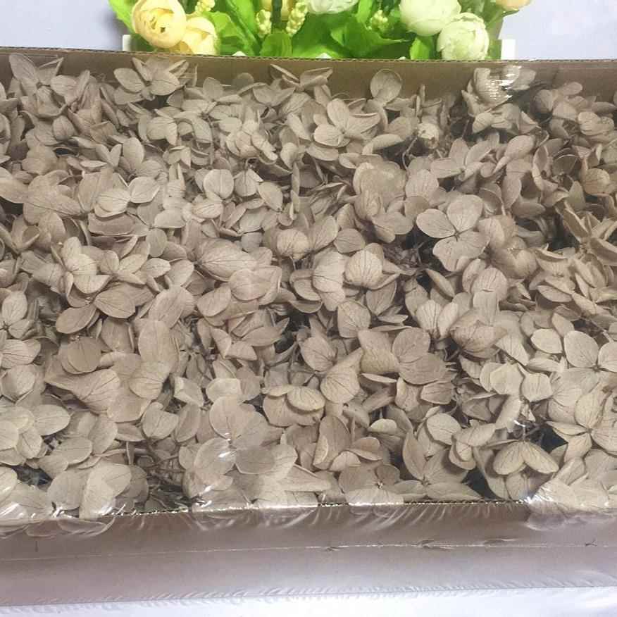 新款直销100g塔状木绣球永生花花材七夕圣诞节情人节生日礼盒礼盒