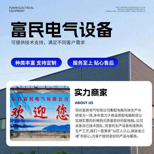 现250*300*货室电外配电箱家用户制外防雨动力控箱室内明配柜装监
