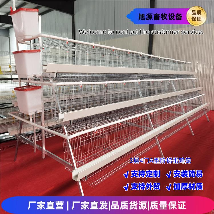 养鸡笼三层四门阶梯蛋鸡笼A型蛋鸡笼阶梯式蛋鸡养殖笼