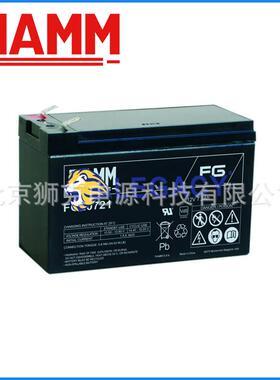 非凡蓄电池20721/FIAMM（12V7.2AH）非凡营销中心