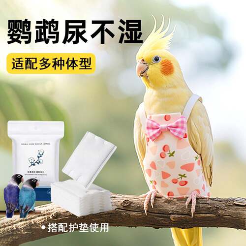 鹦鹉尿不湿屎兜一次性粪兜虎皮便兜小鸟牡丹纸尿裤小太阳屎兜垫子