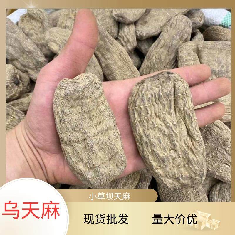 17头乌天麻昭通云南昭通小草坝天麻散装整个天麻干货现货