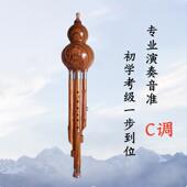 正品 学校制童成人初学专业演奏儿音准胶木树脂云南芦葫丝C定调降B