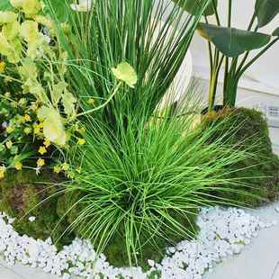 彷真蒲草装饰摆饰塑料细叶草团假草丛摄影道具草垛草堆假绿植造景