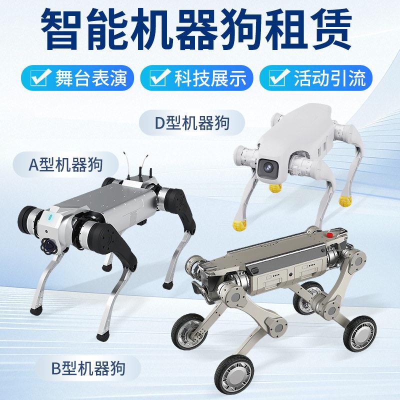 租赁机器全地形运动小巧灵活机器狗可演出可巡逻可运输机器狗