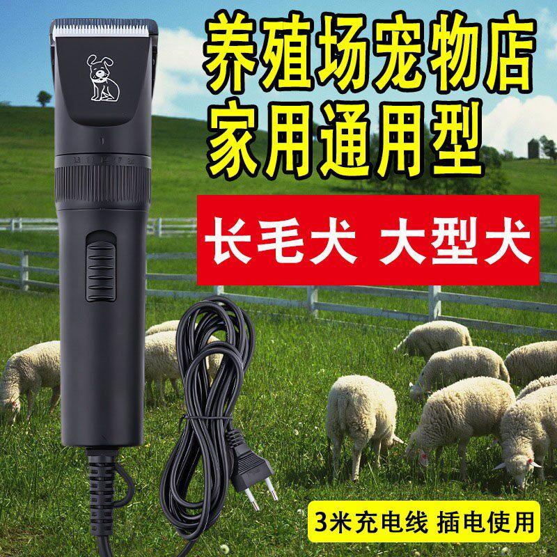羊毛电推剪大型犬羊毛剪大狗插电宠物剃毛器专业狗狗大型犬专用