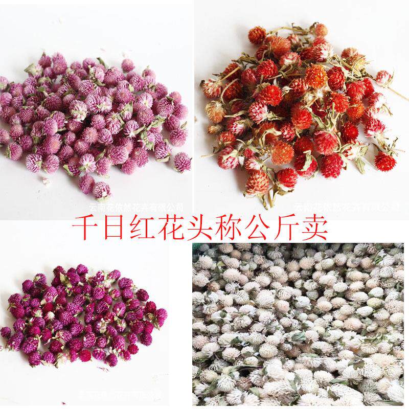 千日红千日粉紫红巧梅和尚头干花花头材料包云南产地