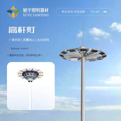 景区学校杆照明道路灯户外篮球广场15-50米LED灯具杆灯