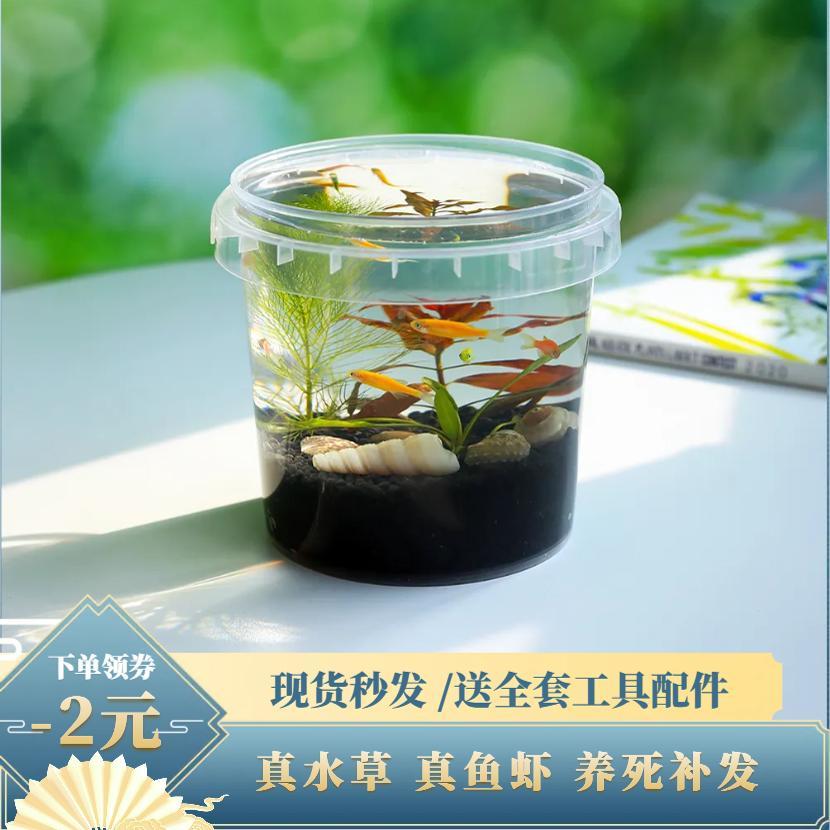 d面生微态生瓶鱼打观换桌水材免理免iy作料景你养迷态鱼缸科学业