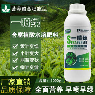 素叶面肥 一喷绿黄叶变绿含氨基酸水溶肥通用蔬菜花卉叶绿素微量元