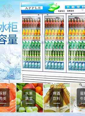 饮543料柜商用立式柜冰单门冰超柜市箱冷啤酒蔬菜水果保鲜冷藏展