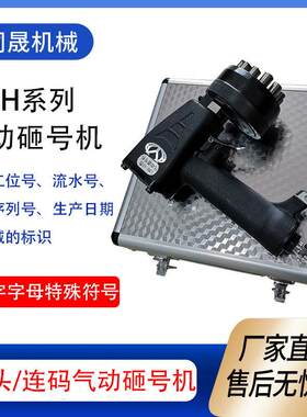 气动砸号机钢字码打码机LZH-10金属标牌打号机手持式钢板打标机