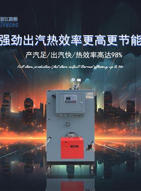 浙江能200kg汽发LSW0.2-0生器菌 食品烘干消毒灭燃聚油蒸天燃气免