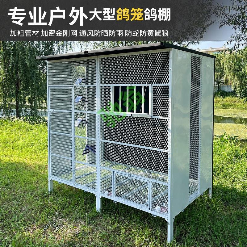 yut烤漆工艺防锈拼装鸽舍鸽棚鸽笼户外大型鸟笼鸡笼孔雀笼观赏笼