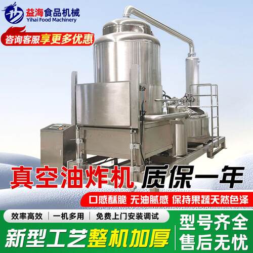 全自动大蒜油炸设备真空油炸机低温油炸冬瓜片生产加工设备