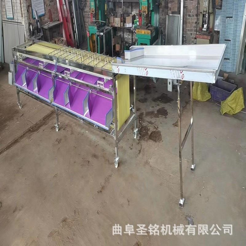 商用橙子分选机 轨道式嘉宝果选果机 蓝莓树莓分级机